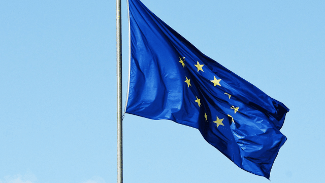 Flaga Unii Europejskiej. Zdjęcie: Pixabay/@gregroose